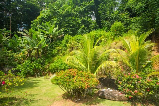 Cote Sud - Unique Villa & Bungalows Intendance Road Takamaka Exterior photo